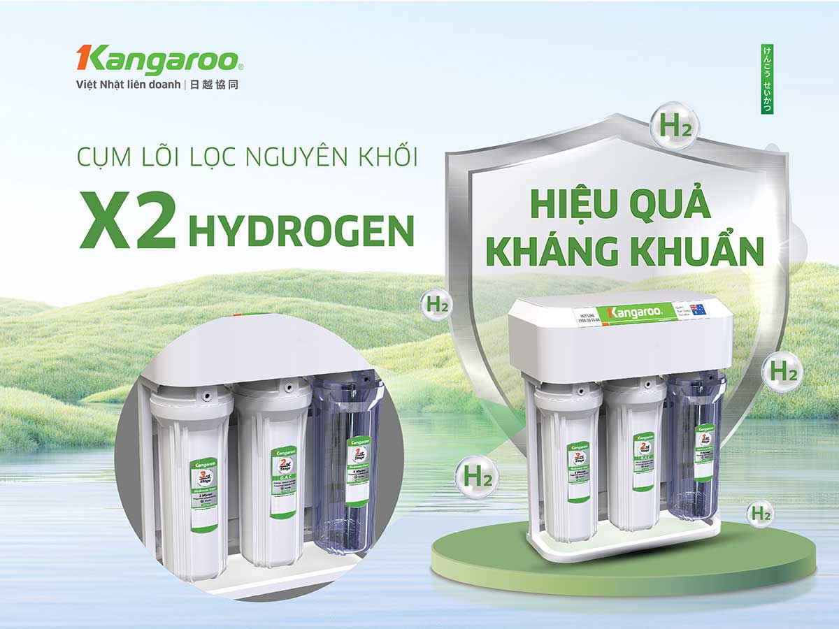 Cum lõi nguyên khổi  gấp đôi Hydrogen